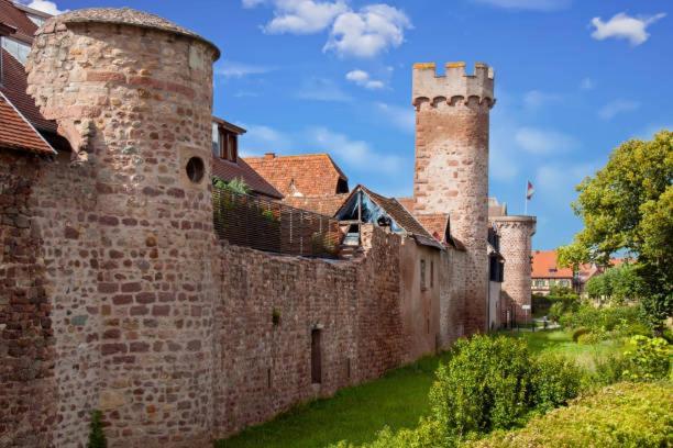 Ancien Mulhouse 101 Leilighet Eksteriør bilde